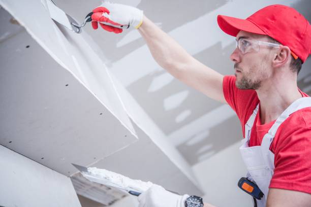 Best Ceiling Drywall Installation  in Spencer, WI